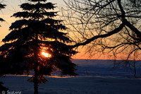 Winter Sunset