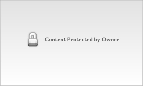 Dhondt_Celebration